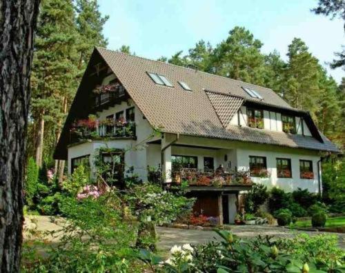 Pension Tannenspitze Wittenberg Exterior photo