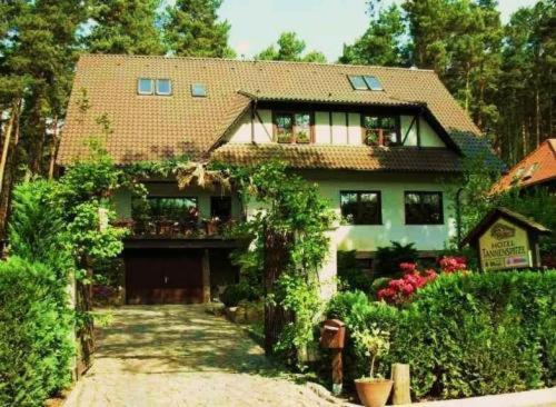 Pension Tannenspitze Wittenberg Exterior photo