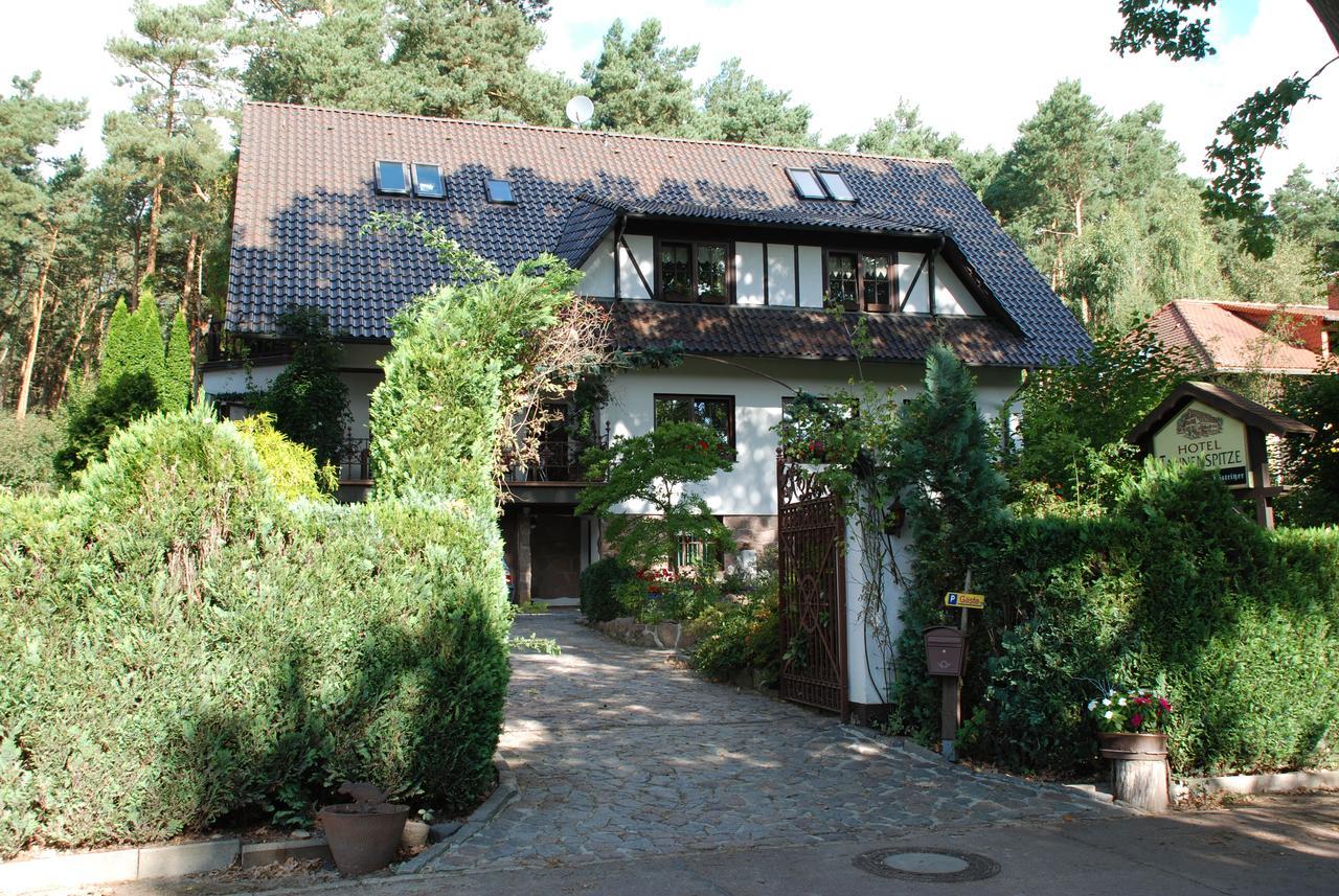 Pension Tannenspitze Wittenberg Exterior photo